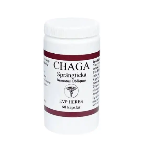 Chaga Sprängticka