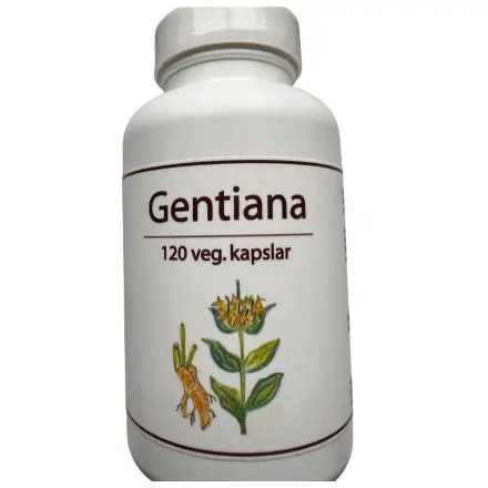 Gentiana