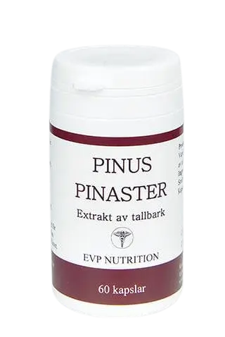 Pinus Pinaster - Pycnogenol